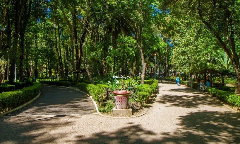 Parc picture of Parque Mexico in La Condesa and Roma in Mexico City, with two paths leading in two ways and lot of trees and green