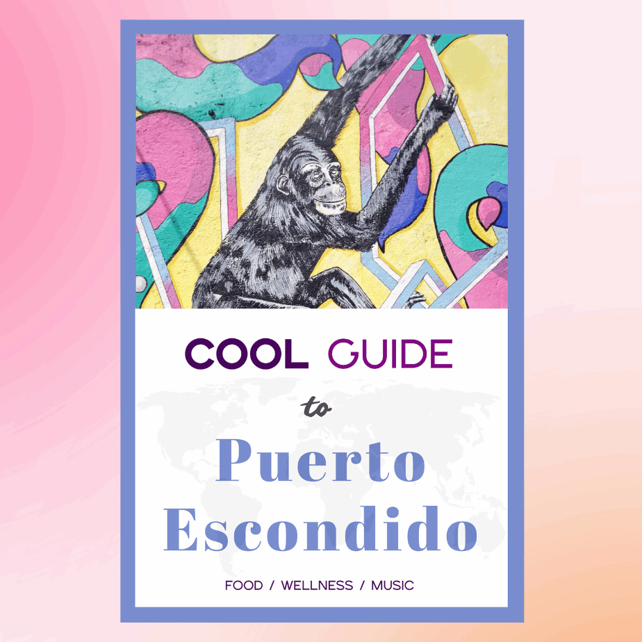 Cool Guide to Puerto Escondido book on a rose-colored background